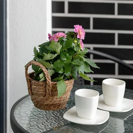 Tasteful With Parking Near The Center Of By Renters * 코워브제크